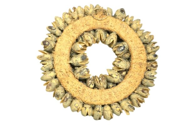 Couronne Dekokranz Wandkranz Naturkranz Handarbeit Bakuli Wreath Latte 20cm ∅