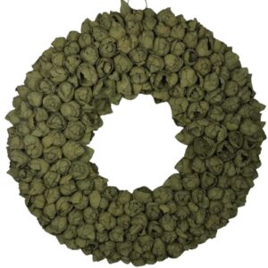 Couronne Deko Kranz Naturkranz Coco Fruit Wreath Old Green Wash 40 cm ∅ Handarbeit