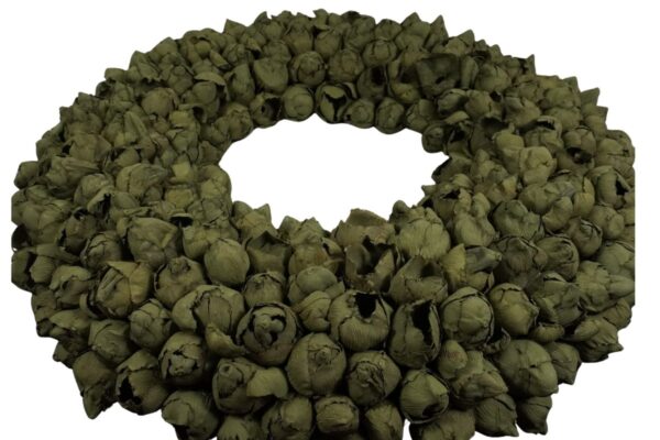 Couronne Deko Kranz Naturkranz Coco Fruit Wreath Old Green Wash 40 cm ∅ Handarbeit